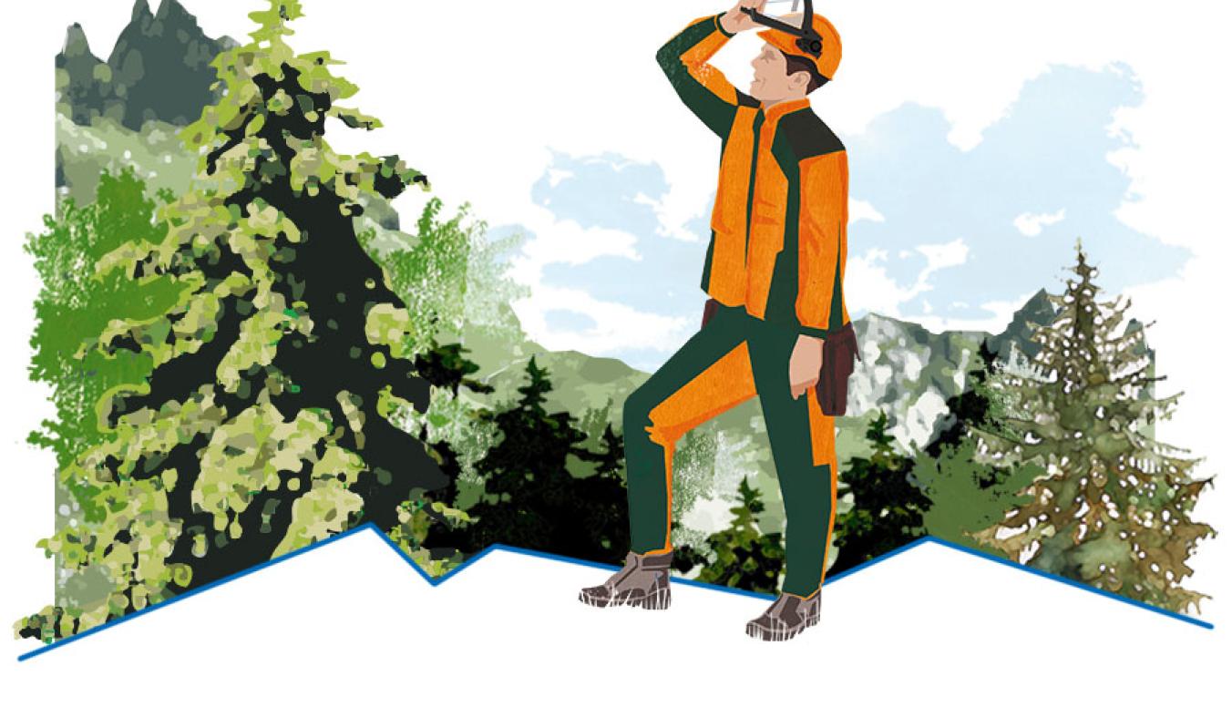 Zeichnung von einem Forstwirt im Wald